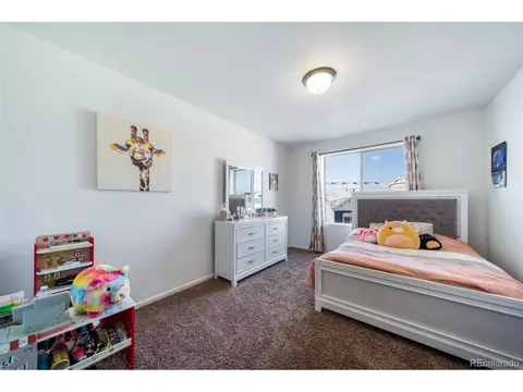 5385 Walden Ct, Denver, CO 80249 photo 30
