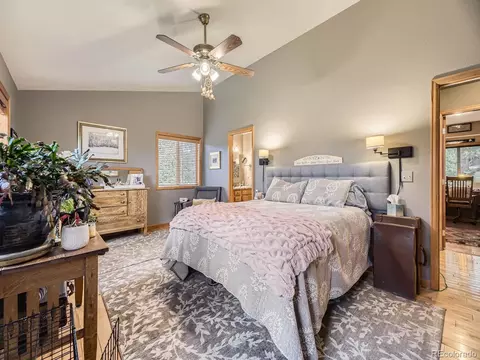 378 Conifer Dr, Bailey, CO 80421 photo 13