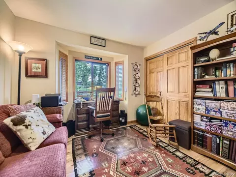 378 Conifer Dr, Bailey, CO 80421 photo 16