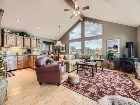 378 Conifer Dr, Bailey, CO 80421 photo 5