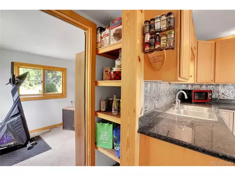 90 Geranium Way, Black Hawk, CO 80422 photo 10