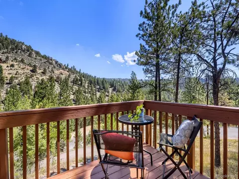 Exterior - 1423 Roland Dr, Bailey, CO 80421 photo 5 of 12