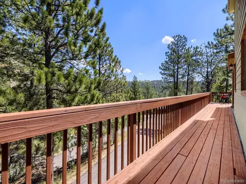 Exterior - 1423 Roland Dr, Bailey, CO 80421 photo 8 of 12