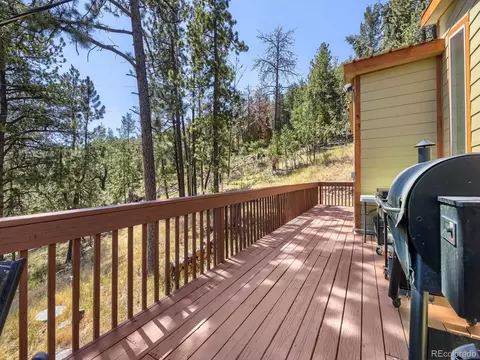 Exterior - 1423 Roland Dr, Bailey, CO 80421 photo 6 of 12