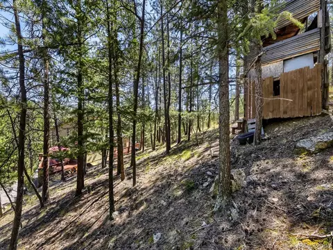 Exterior - 1423 Roland Dr, Bailey, CO 80421 photo 9 of 12