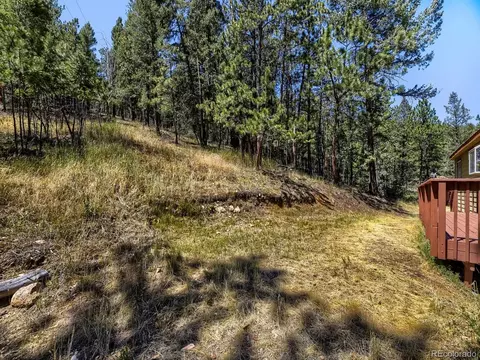 Exterior - 1423 Roland Dr, Bailey, CO 80421 photo 7 of 12