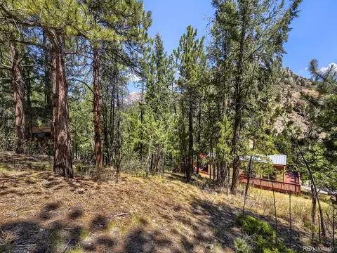 Exterior - 1423 Roland Dr, Bailey, CO 80421 photo 10 of 12