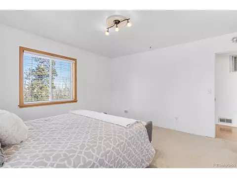 2244 High Creek Rd, Fairplay, CO 80440 photo 21