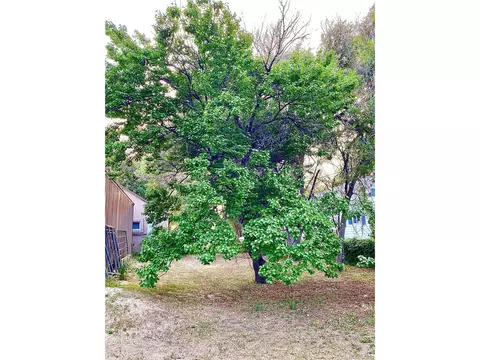 Undisclosed, Simla, CO 80835 photo 34
