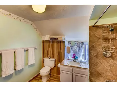 130 E 7th St, Leadville, CO 80461 photo 26