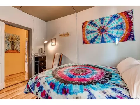 130 E 7th St, Leadville, CO 80461 photo 18