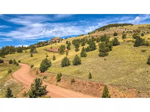 1457 Copper Mountain Dr, Cripple Creek, CO 80813