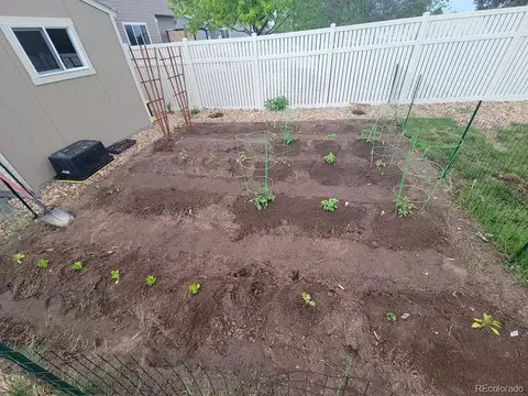 5328 Rustic Ave, Firestone, CO 80504 photo 20