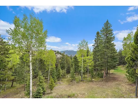 11222 Conifer Mountain Rd, Conifer, CO 80433 photo 2