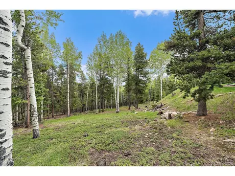 11222 Conifer Mountain Rd, Conifer, CO 80433 photo 39