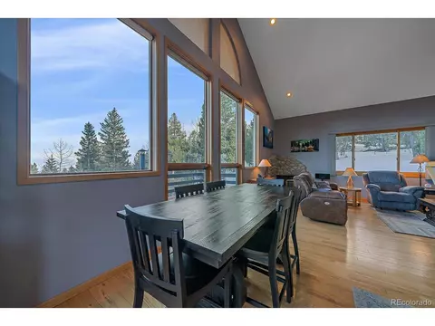 11222 Conifer Mountain Rd, Conifer, CO 80433 photo 13