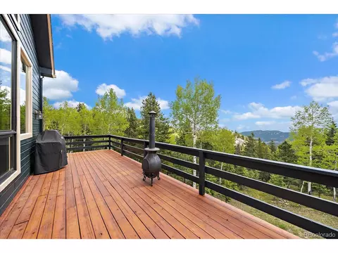 11222 Conifer Mountain Rd, Conifer, CO 80433 photo 11