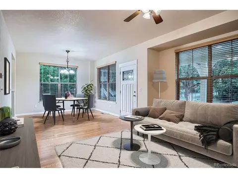 10193 E 29th Ave, Denver, CO 80238 photo 9