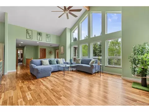 456 Brookside Dr, Bailey, CO 80421 photo 3