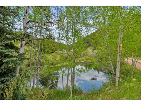 456 Brookside Dr, Bailey, CO 80421 photo 38