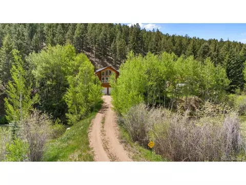 456 Brookside Dr, Bailey, CO 80421 photo 39