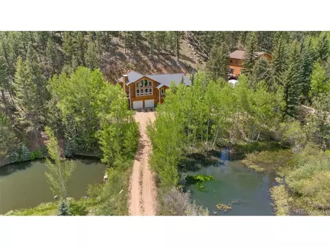 456 Brookside Dr, Bailey, CO 80421 photo 4