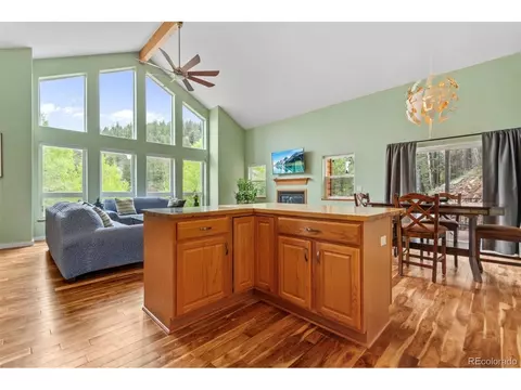 456 Brookside Dr, Bailey, CO 80421 photo 22