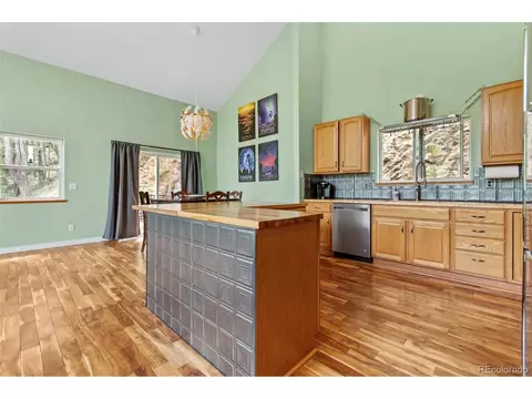 456 Brookside Dr, Bailey, CO 80421 photo 17