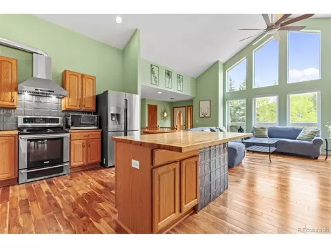 456 Brookside Dr, Bailey, CO 80421 photo 23