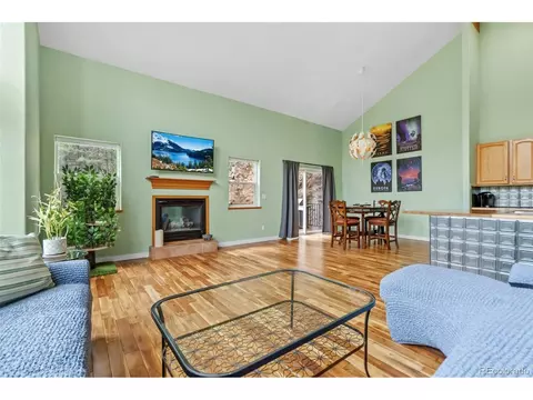 456 Brookside Dr, Bailey, CO 80421 photo 25