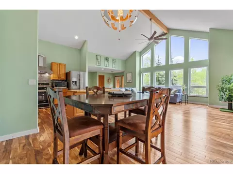 456 Brookside Dr, Bailey, CO 80421 photo 14