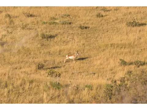 0 County Road 651, Rye, CO 81069 photo 4