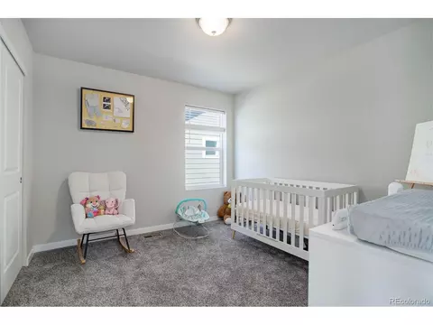 Bedroom - 28418 E 8th Pl, Watkins, CO 80137 photo 5 of 12