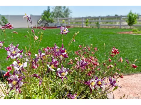 7412 23rd Street Rd, Greeley, CO 80634 photo 39