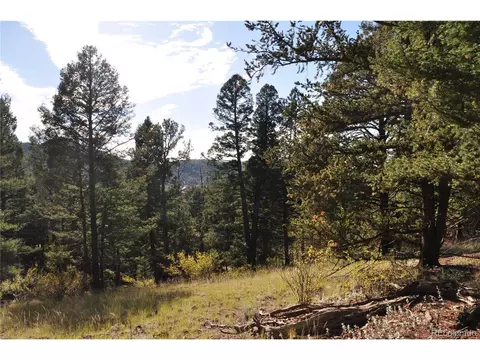 445 Bennett Dr, Cripple Creek, CO 80813