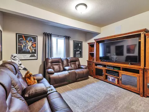 6952 E 133rd Ave, Thornton, CO 80602 photo 24
