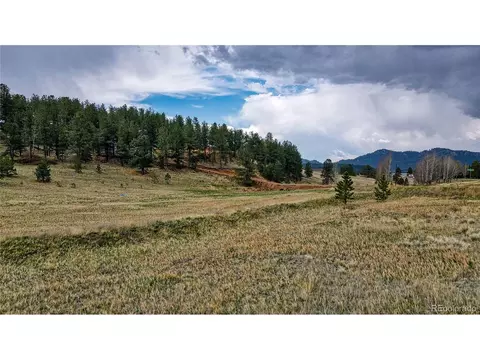 188 High Pasture Rd, Florissant, CO 80816