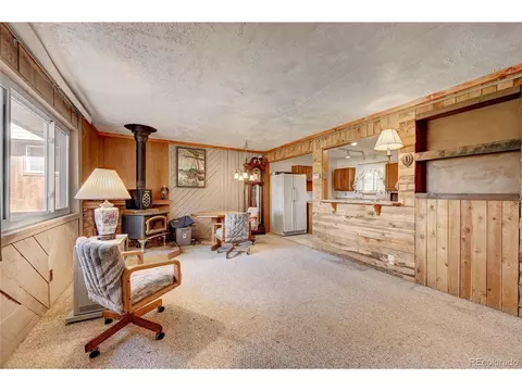 2027 Roland Dr, Bailey, CO 80421 photo 4
