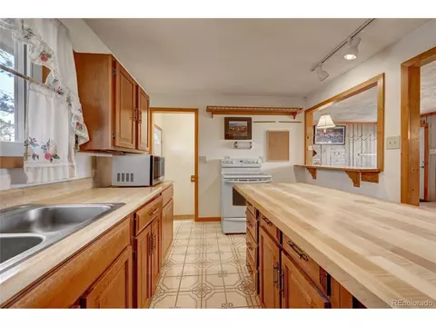 2027 Roland Dr, Bailey, CO 80421 photo 8