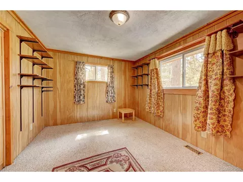 2027 Roland Dr, Bailey, CO 80421 photo 9