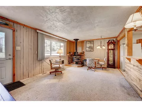 2027 Roland Dr, Bailey, CO 80421 photo 5