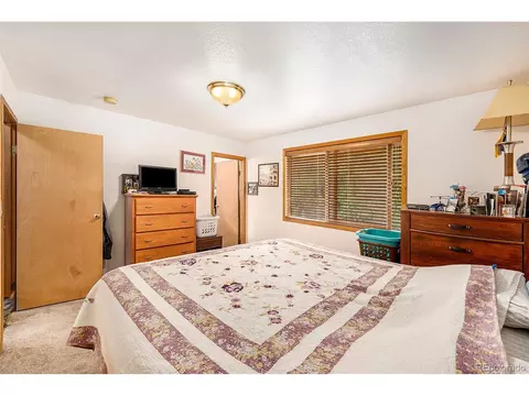 930 Lodge Pole Dr, Black Hawk, CO 80422 photo 17
