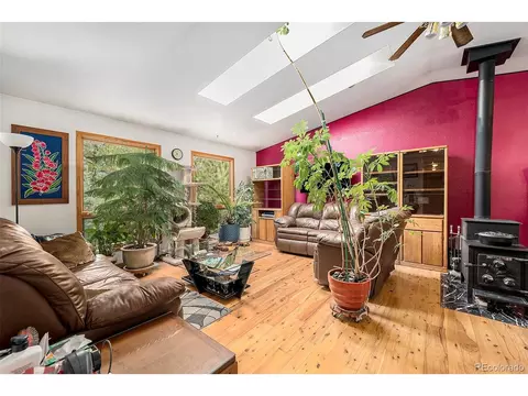 930 Lodge Pole Dr, Black Hawk, CO 80422 photo 6
