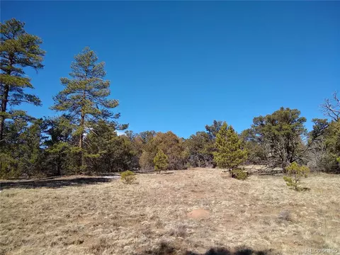 3152 Indian Wells Rd, Texas Creek, CO 81223