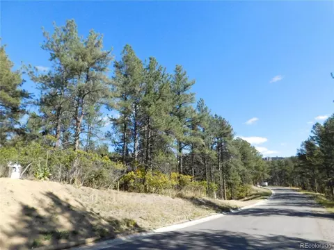 691 Poncho Rd, Larkspur, CO 80118