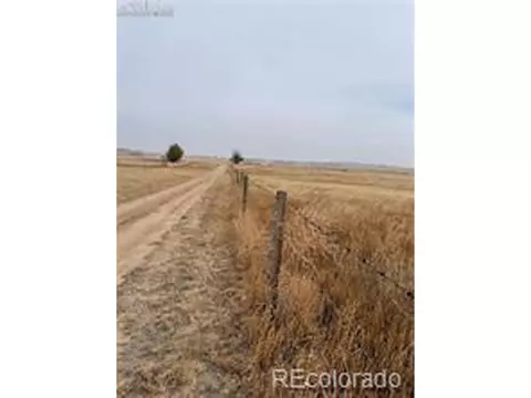 4955 Dodge Rd, Peyton, CO 80831 photo 2