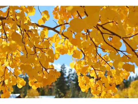 74 Sunshine Loop, Fairplay, CO 80440 photo 3
