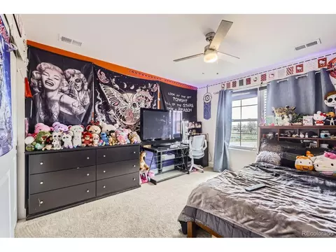 3508 Silverado Cir, Frederick, CO 80516 photo 29