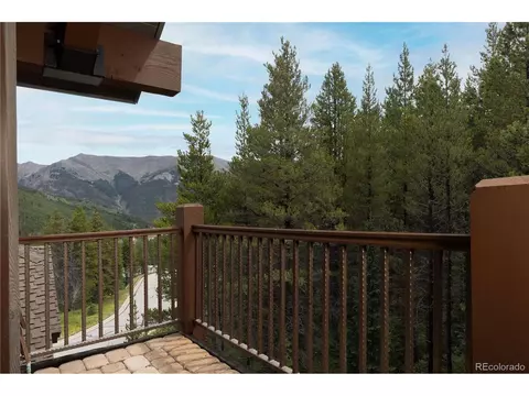 882 Beeler Pl, Frisco, CO 80443 photo 18