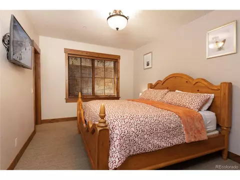 882 Beeler Pl, Frisco, CO 80443 photo 26